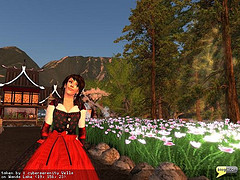 Japan project by SL explorer