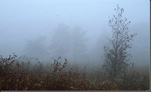 Autum_007