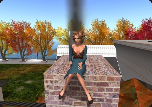 Sitting on chimney Sitting on chimney